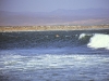 baja_500_2004-9