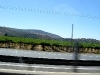 t_img_0957